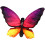 Butterfly Decorative Throw Pillow Plush 15.7x19.6 Inch 1