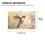 Ensemble de sets de table modernes et doux – Motif colibri et fleur, 5