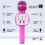 Bluetooth Karaoke Microphone Pink 2