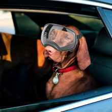(Black frame * Clear lens) Waterproof Dog Goggles Sunglasses Anti-UV Protection Eyes Sun Glasses Pet Supply