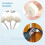 Polishing Kit for Dremel 140 PCS with Buffing Wheels and 3