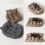 (Gray M) Soft Sofa Pet Cat Dog Bed Comfortable Warm Pet Bed Sleeping Bed Cushion Bed 1