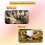 12 Pack Horizontal Chicken Nipples Waterer - Automatic Poultry Drinkers for Easy Installation and Clean Water Supply 6