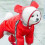 (m, yellow) waterproof dog raincoat full coverage for outdoor use 1