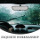 Back Up Camera Display Screen 7-inch 8