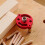 Aluminum Self-Centering Doweling Jig Kit 12-Piece 5