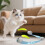 Cat Ball Toy with Tail Grey Auto-Rolling Interactive 1