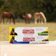(3 apple d-style 6g/box) Pet Plant Extract Flea Tick Repellent Apple Flavor Horse Paste Natural Insect Repellent Paste Gentle Safe for Cats Dogs 120ml