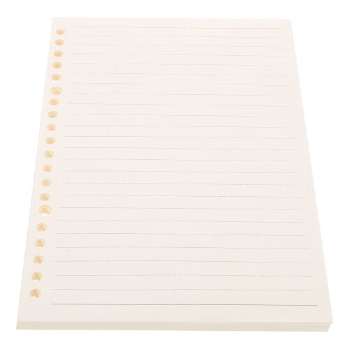 A5 Grid Paper Thick Page Filler 60 Sheets