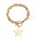 Light Luxury Collarbone Chain Necklace Five-Pointed Star 1