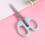 Stainless Steel Scissors 7.4 Inch Multipurpose 1
