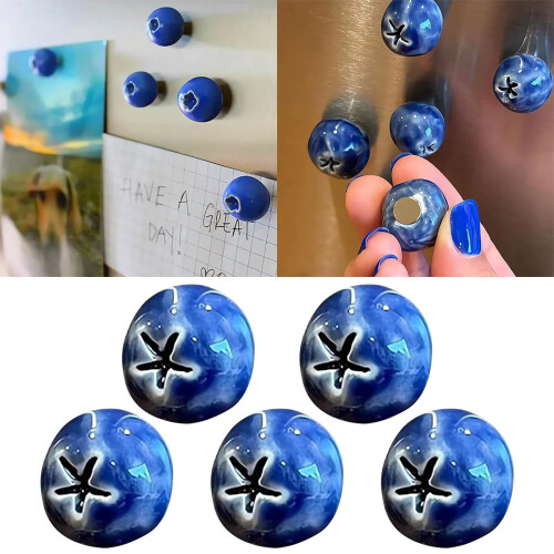 Blueberry Ceramic Fridge Magnets 3D Resin 5 PCS
