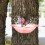 Bird Bath Tray Tree-Mounted 9.2 in x 2.7 in 1
