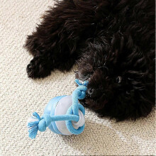 (Red) Interactive Dog Toy with Motion Sensor, Self-Playing Ball, 3 Modes for Indoor Play, Type-C Charging, Pet Entertainment