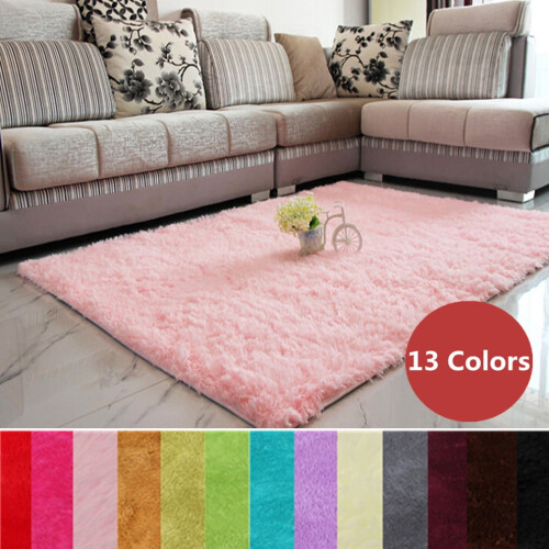 Modern Soft Fluffy Area Rug 48 x 32 inches