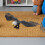 Eagle Figurine Animal Toy White Head 1 Piece 3