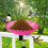Hummingbird Bird Bath Bowl with Adjustable Base 4