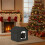 Outdoor Cat House Weatherproof for Multiple Cats 7