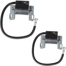 Ignition Coil Replacement for Briggs Stratton Intek V-Twin