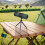Monocular 300X Zoom HD Night Vision Lightweight Retractable 8