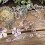 Lost Garden Art Collage Journaling Sheets 30 pcs 6 designs 5