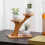 Bamboo 2-Tier Stand for Home Office Desktop Decor 2