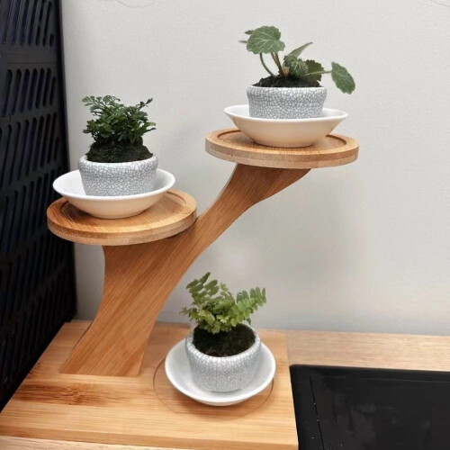 Bamboo 2-Tier Stand for Home Office Desktop Decor 2