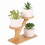 Bamboo 2-Tier Stand for Home Office Desktop Decor 6