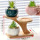 Bamboo 2-Tier Stand for Home Office Desktop Decor 5