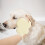 Silicone Anti-static Pet Brush Double-sided 1pc 2