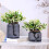 Fake Blueberry Branches Light Green 5-Pack 1