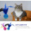 Cat Toy Ball with Bell and Feather 1 Piece 3