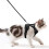 Reflective Cat Harness and Leash Set Escape-Proof XS 3