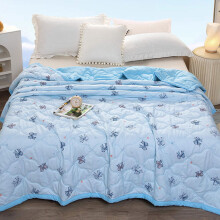 Summer Quilt Lightweight Washed Cotton Coverlet 39x59 Inch