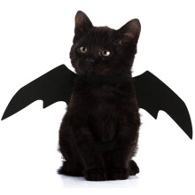 Cat Wings Bat Wings Black Felt Accessory 1 Piece