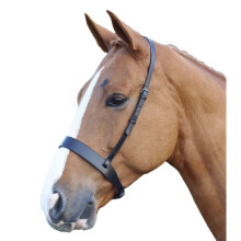 (Full, Black) Blenheim Hunter Leather Horse Cavesson