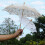 Lace Embroidered Sun Parasol for Bridal Wedding 4