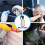 Plastic Spray Bottles for Cleaning Solutions,10OZ Reusable Empty Container with Durable Black Trigger Sprayer, 9Pack 8