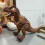 Electronic Walking Dinosaur Toy Brown 1 pc 7
