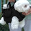 Dog Backpack Harness Breathable Lightweight Adjustable for 1
