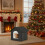 Outdoor Cat House Weatherproof for Multiple Cats 6