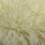 Modern Soft Fluffy Area Rug 48 x 32 inches 8