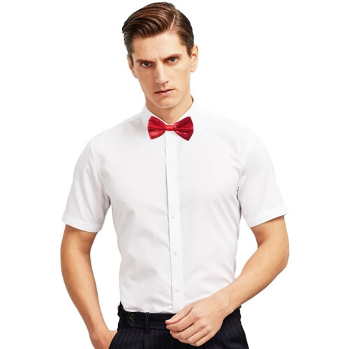 Men's Pre-Tied Bow Tie Shiny Sequin Adjustable 1