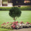 Model Train Trees Miniature Forest Railroad Scenery 12pcs 4