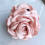 Women's Rose Hair Claw Clip Solid Color 1 Piece 5