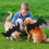 Pet Halloween Costume Cat Bat Wings 1 Piece 6