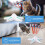 Interactive Cat Toy Blue 360 Rotating Electronic Butterfly 2