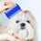 Pet Grooming Kit Stainless Steel 4 Combs 5