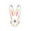 Easter Bunny Rabbit Cookie Cutter Stainless Steel with 1