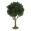 Model Train Trees Miniature Forest Railroad Scenery 12pcs 6